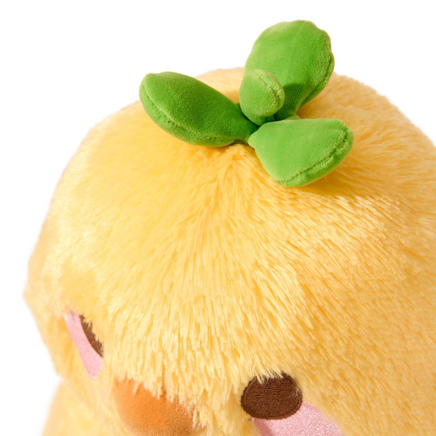 Cheese the Duck Plush